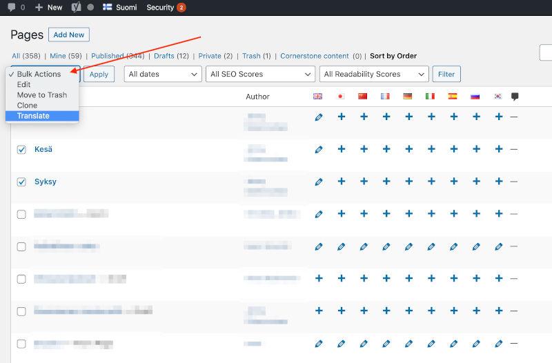 Bulk käännökset Polylangilla - step 2